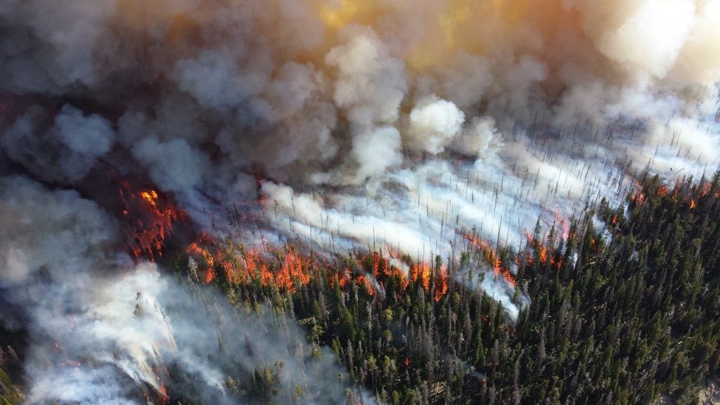 Peak California wildfire season is typically between July and October.