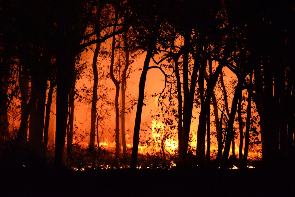 Photograph of a wildfire at night: San Diego wildfire resources and alerts