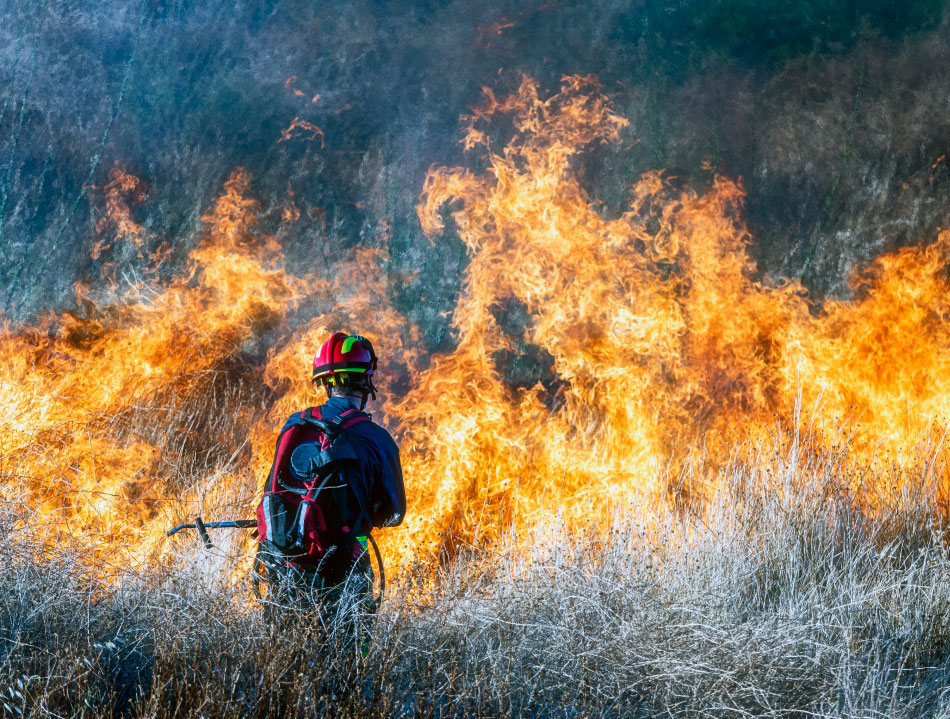 Wildfire insurance in California.