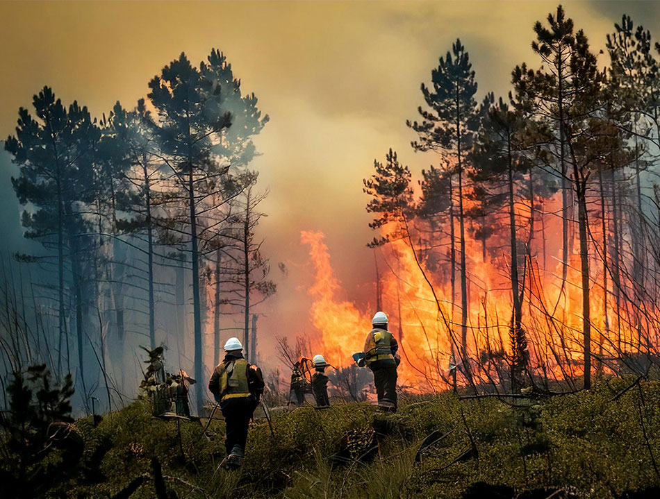 Finding new solutions to prevent wildfires.