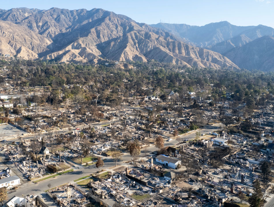 Homes that survived the LA wildfires.