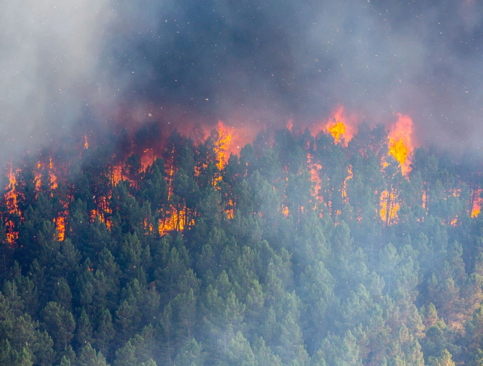 Four stages of fire development.