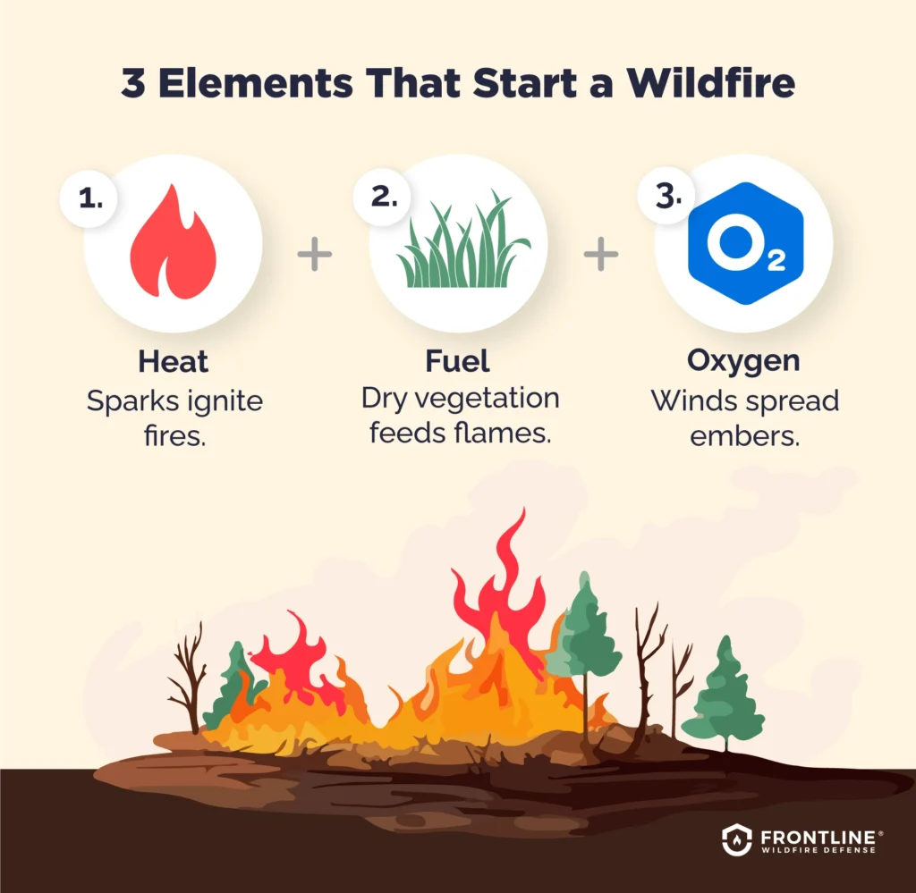 How do forest fires start?
