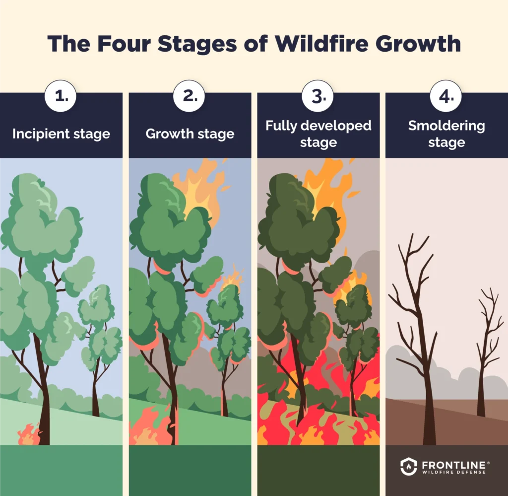 What are the 4 stages of fire?