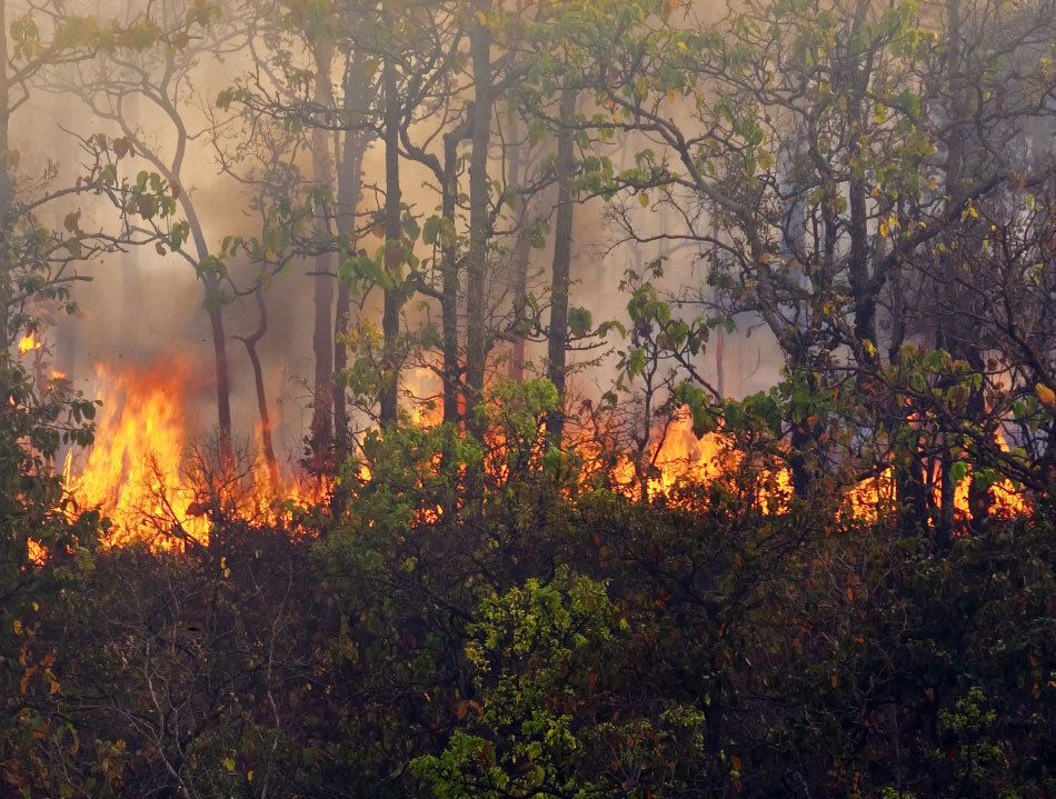 When do most wildfires occur in Montana?