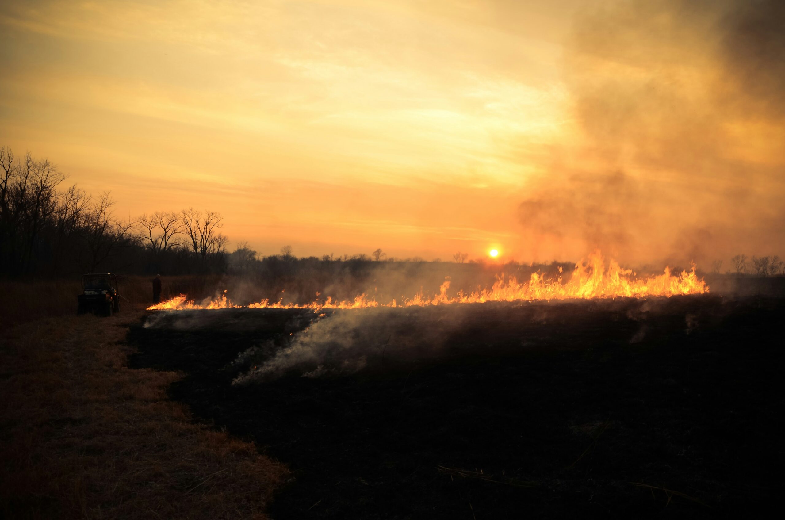 Controlled burn at sunset.
