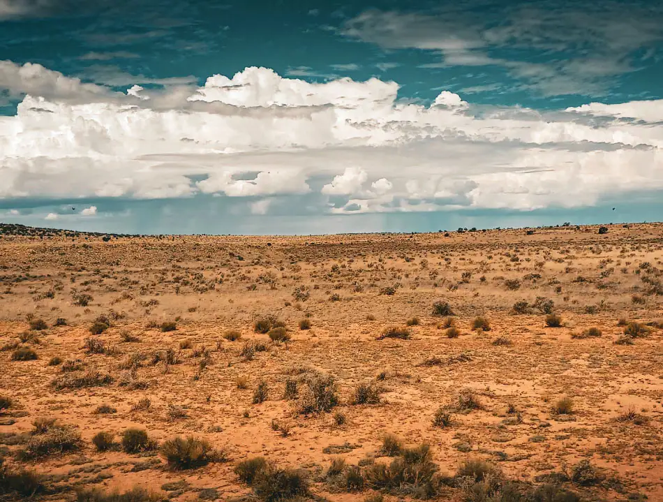 What causes wildfires in Arizona?