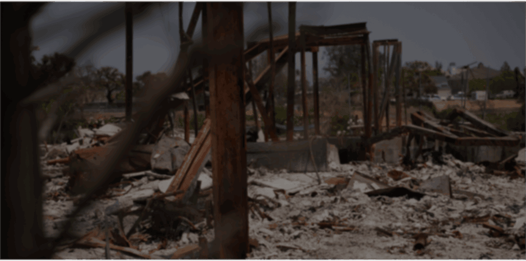Home in Los Angeles destroyed by wildfire.