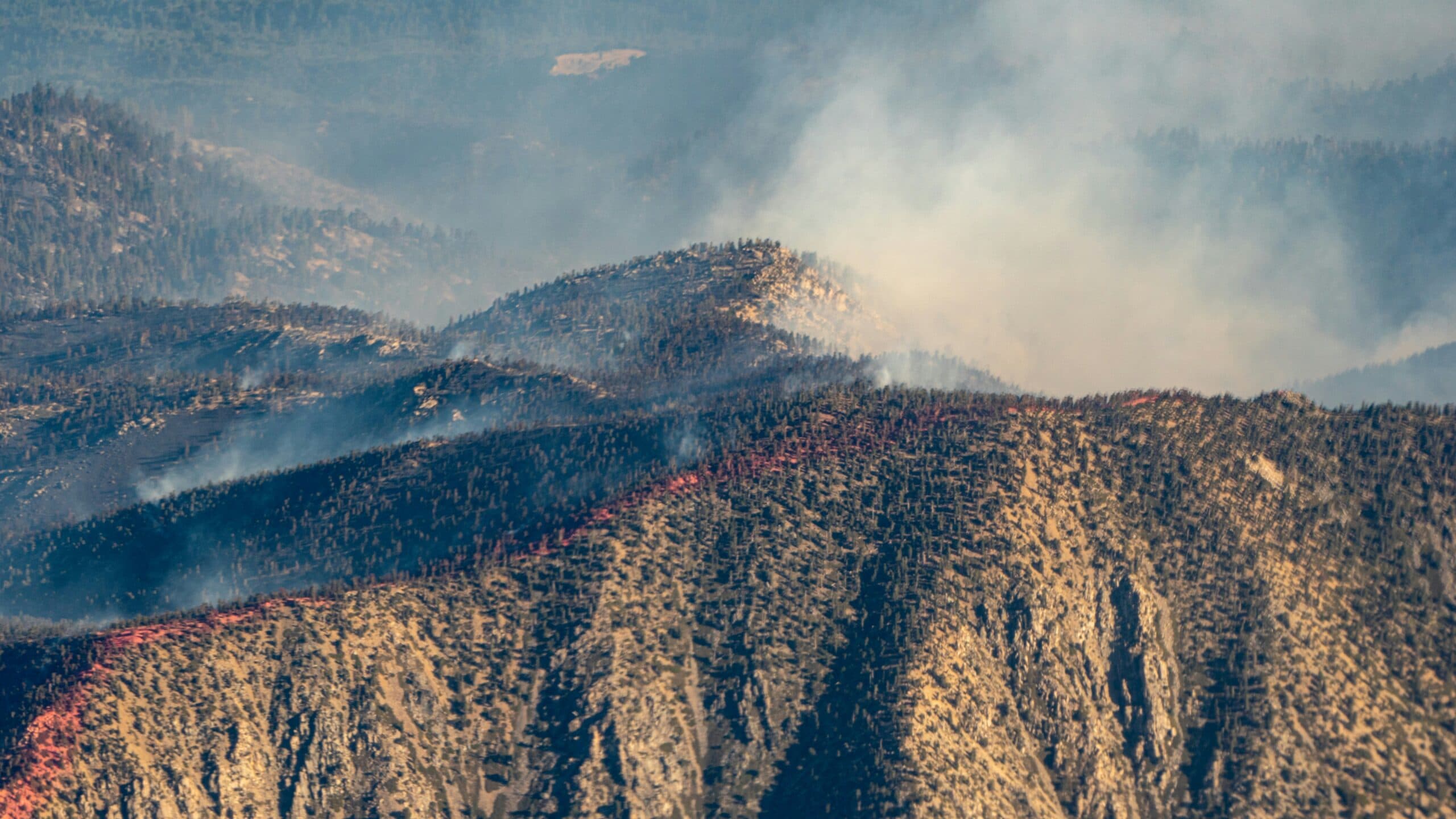 A picture of the fires burning in California between Joshua Tree and Los Angeles from above. Photo by Patrick Campanale on Unsplash