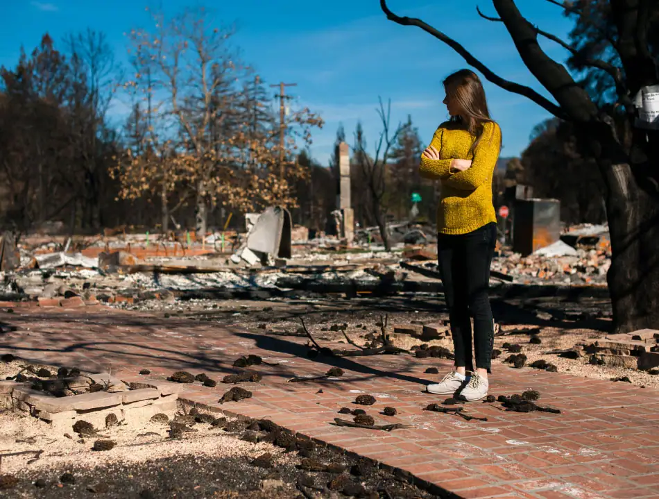 A photo depicting recovery after a Wyoming wildfire.