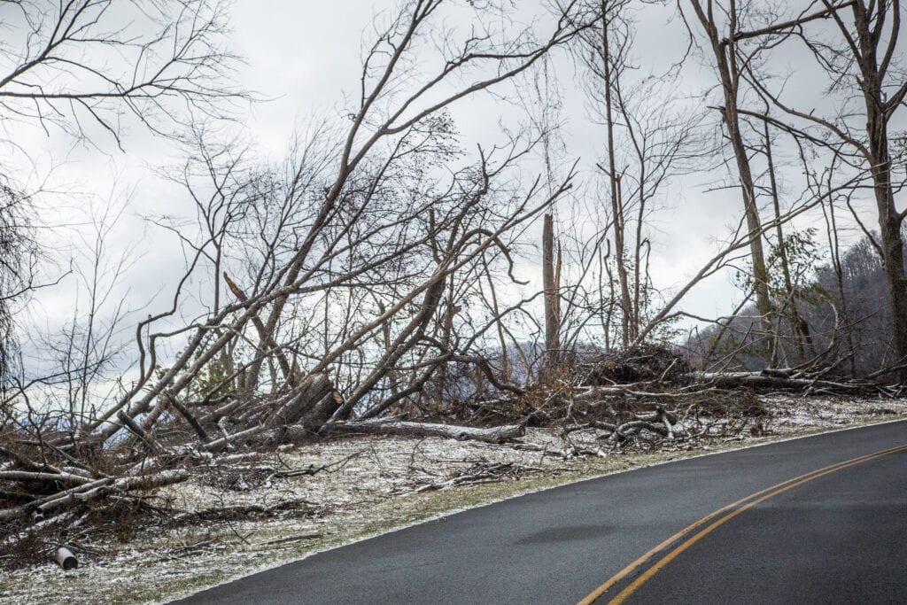 Hurricane Helene damage USDA Forest Service photo by Kalen Breland