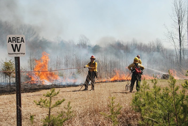 Firefighter pulls a hose to help maintain a fire line around a controlled burn to maintain native grasslands, remove woody vegetation, and control invasive species.