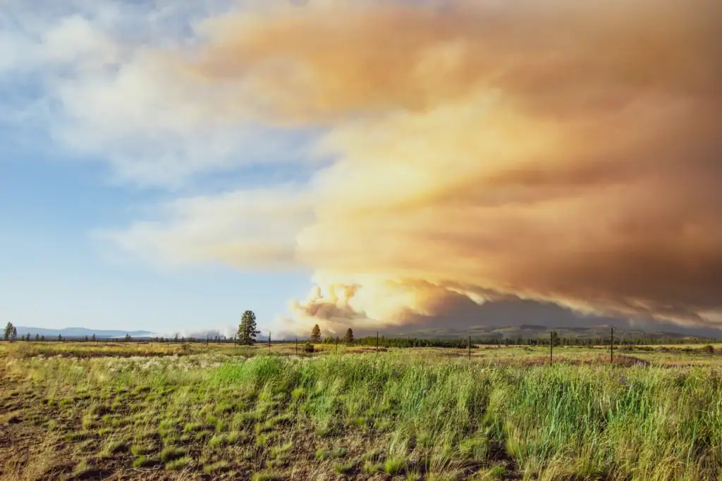 What causes wildfires in Oregon?