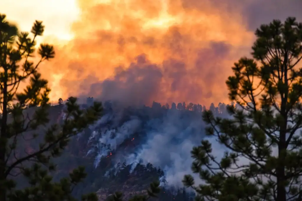 A forested hillside covered in thick smoke and glowing orange flames during the peak of the wildfire season in Colorado.